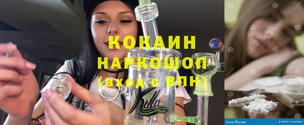 гашик Инта