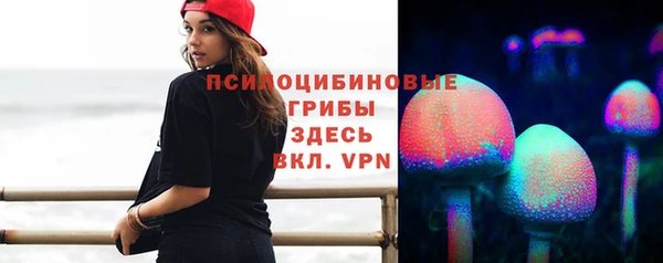не бодяженный Инсар