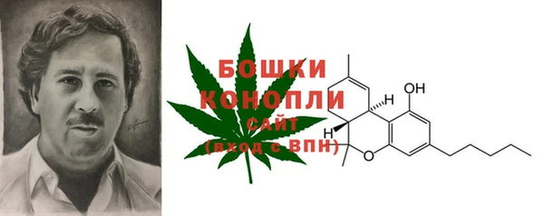 не бодяженный Инсар