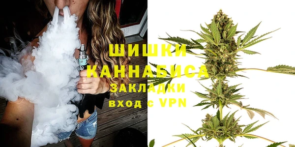 гашик Инта