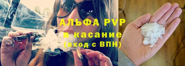 гашик Инта
